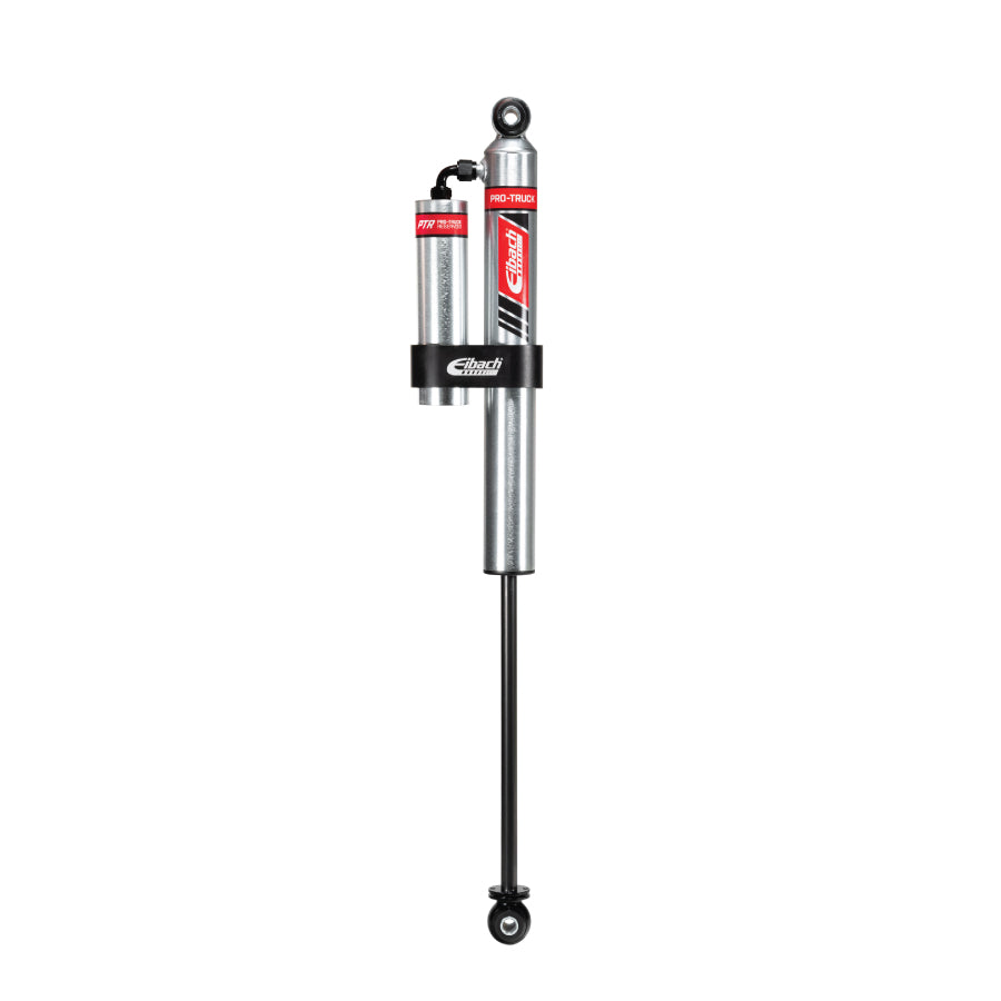 Ford F150 Eibach rear pro truck shocks