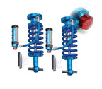 2.5" OEM Performance C/O, R/R, Extended Travel, Adjustable, Front