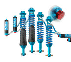 Shock Package, 2.5" OEM Performance, Adjustable